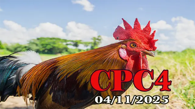 Xem lại đá gà trực tiếp C4 Thomo hôm nay 04/11/2025
