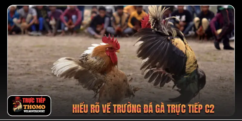 Hiểu rõ về trường đá gà trực tiếp C2